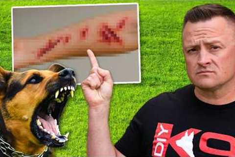 How to STOP a DOG ATTACK in 3 Seconds - GUARANTEED!