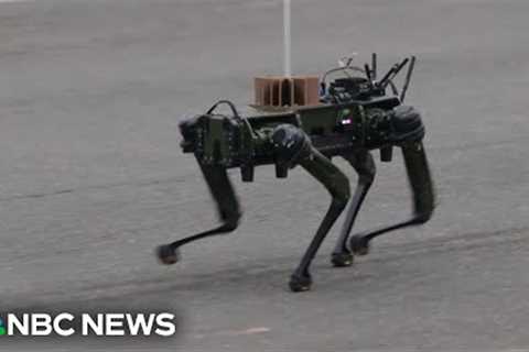 Drones and robotic dogs represent the future of the Army at military parade