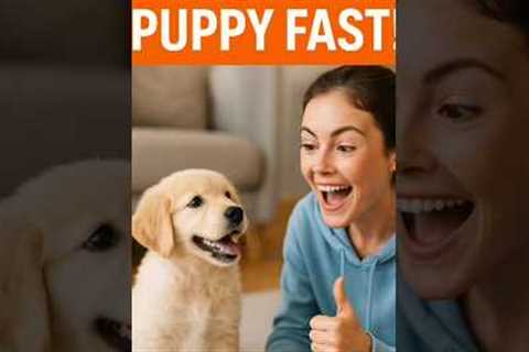 Puppy Obedience Training 101: Teach Your Dog to Sit, Stay, Come &amp; More!#dogtraining #puppytips
