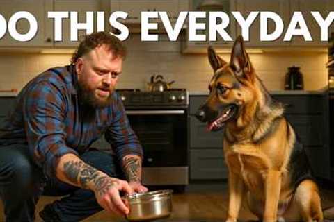 5 Dog Training Exercises You Should Do EVERY DAY!