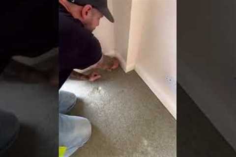 HOW TO REMOVE Old Carpet Like a pro #diy #howto #shorts #carpet