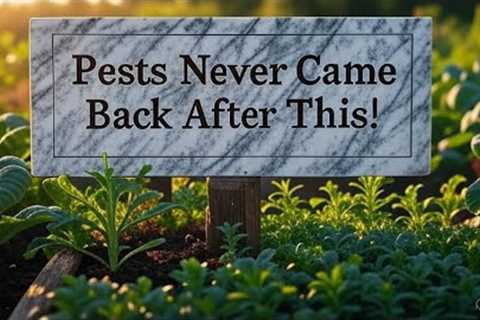 How I Stopped Pests for Good with This Secret Homemade Garden Spray