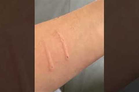 Cat aggressively bites owner and then says sorry  #cat  #cats #shorts