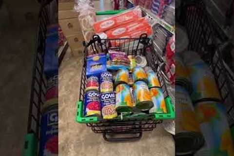 MY 1st DOLLAR TREE GROCERY HAUL MINiVLOG #justthebells10 #groceryhaul   #familyvlog #dollartree