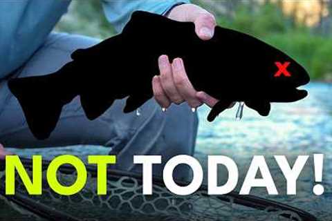 Fly Fishing Problems? How to Avoid Getting Skunked | Ep. 132