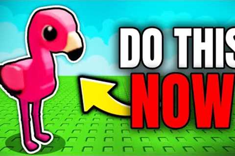 5 Things YOU NEED TO DO Before SUMMER UPDATE! (Grow a Garden)