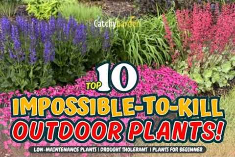 TOP 10 IMPOSSIBLE-TO-KILL OUTDOOR PLANTS! 🌻💥🌿 // Gardening Ideas