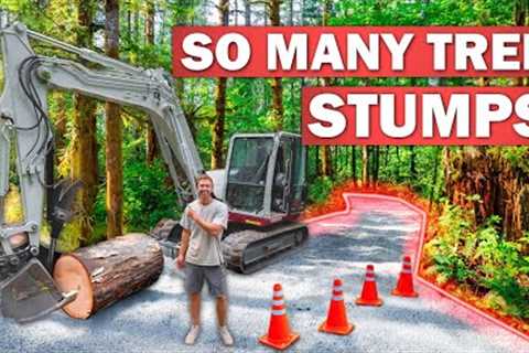 Building My 700ft Forest Driveway on a BUGDET