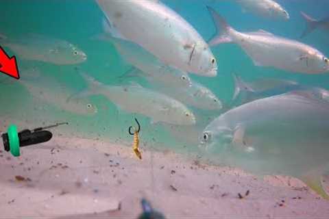 Attached an Underwater Camera to my Fishing Line (How Fish React)