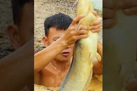 Survival Skills: Catching Fish &amp; Plastic pipe fishing trap #bushcraft #fishing #catchingfish