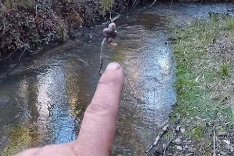 Trout fishing with worms, tips tricks and techniques for catching more trout on worms