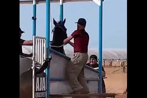 Hilarious Horse Race Fail! Watch the Rider's Epic Mishap 😂🐎 #FunnyFail...