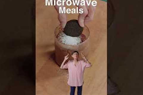 Microwave Meals: Lava Cake!