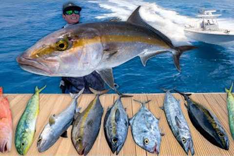 CAUGHT Every Deep Sea Fish... Catch Clean Cook (Amberjack)