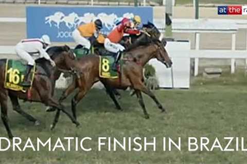 CRAZY FINISH TO HORSE RACE IN BRAZIL | Jockey nearly throws race away by celebrating early...