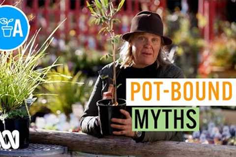 Pot-Bound Plant Myths | Gardening 101 | Gardening Australia