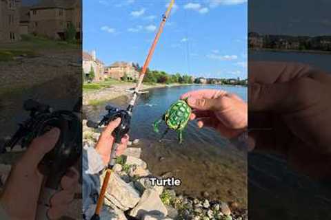 Fishing with mystery lures sent by a follower