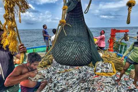 OMG‼️ Day 02: Watch This HUGE Trawl Net Devour the Deep Sea🦈😱