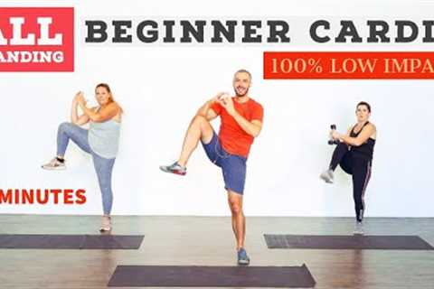 Low impact, beginner, fat burning, home cardio workout. ALL standing!