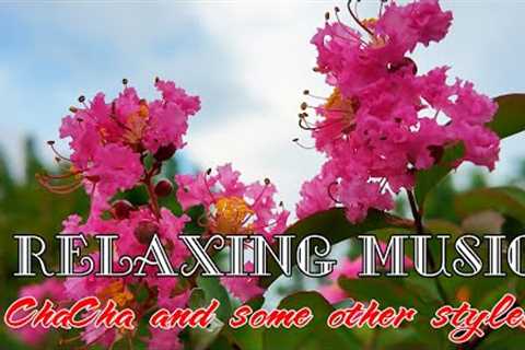 Relaxing music bring peace and reduce stress, ChaCha and some other styles vol 239