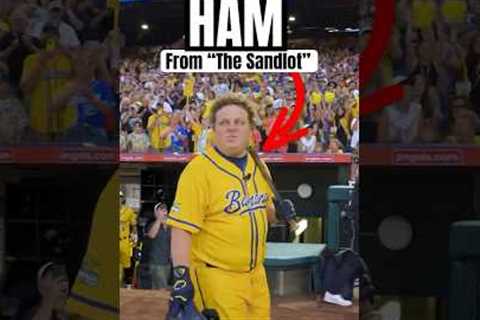 Ham from “The Sandlot” Takes At-Bat for The Savannah Bananas #samdlot#anaheim#angels#shortsfeed