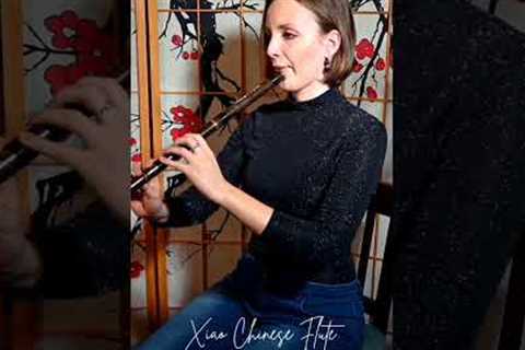 Traditional Chinese Bamboo flute #xiao #chinese #bamboo #flute #relaxing #meditation