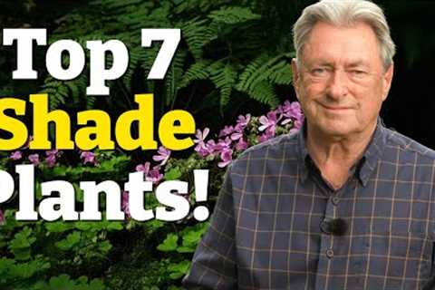 My Top 7 Plants for Shade - Transform Your Garden!