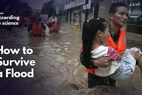 How to Survive a Flood, According to Science
