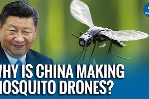 China’s Tiny Mosquito-Sized Drone Could Revolutionize Modern Warfare