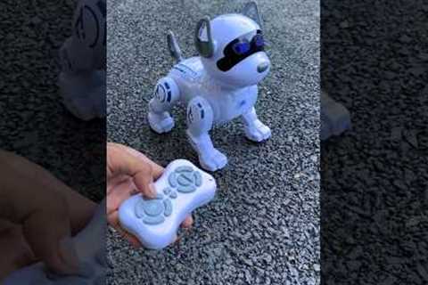 Big Remote control Dog unboxing | Rc Intelligent stunt dog 🐕 40 dollar invest