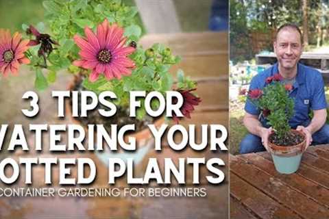 💦 3 Tips for Watering Potted Plants #shorts | Container Gardening for Beginners 💦
