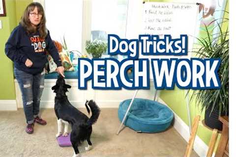 Susan Garrett’s Perch Work Dog Tricks (Pivots and Spins)