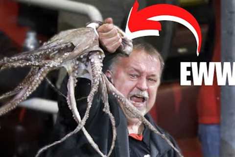 10 Craziest Things Fans Have Thrown at Sporting Events