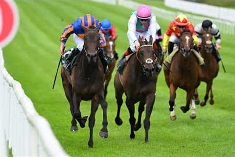 What a race! WHIRL beats Kalpana in EPIC Pretty Polly | Racing TV