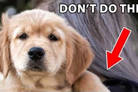 12 Things Golden Retrievers Hate That Humans Do