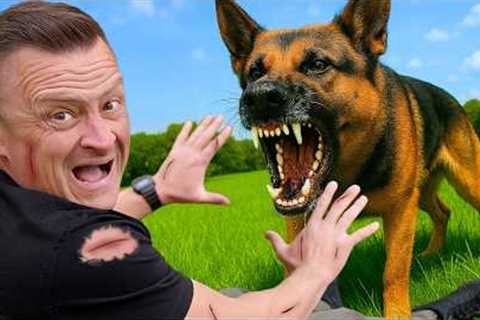 I Got BIT by 5 Police Dogs! – PAIN SCALE: 1 to 10
