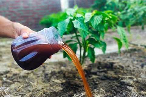 Say Goodbye to Expensive Fertilizers: This Weed Trick Will Blow Your Mind