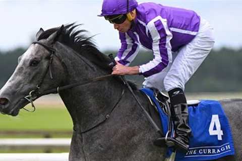 €400,000 colt DORSET looks exciting for Aidan O'Brien | Racing TV