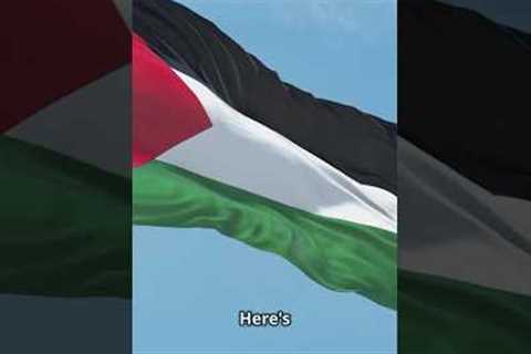 Gaza Crisis News Update #news #facts #trending #trend #politics #tragedy #global #conflict #military