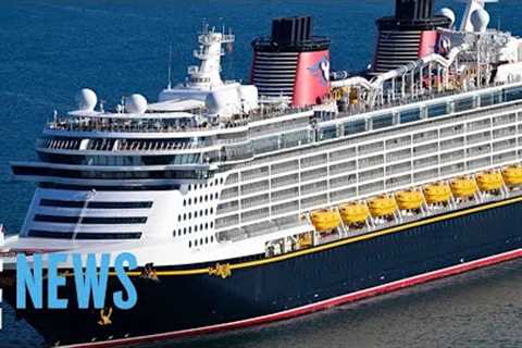 Dad Jumps Overboard After Daughter Falls From Disney Cruise Ship | E! News