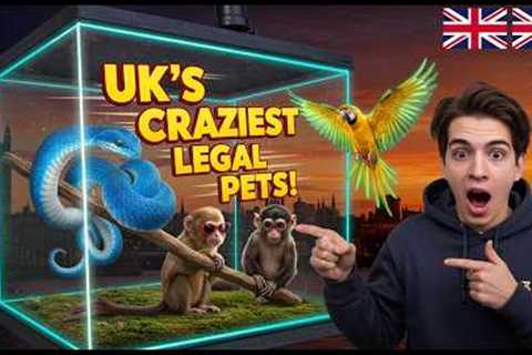 Top 10 Exotic Pets You Can Legally Own in the UK 🐍🦜 | Unbelievable Animals!
