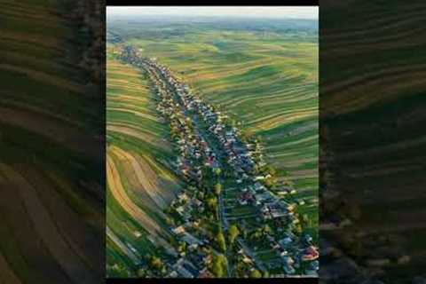 Increasing population and shortage of food