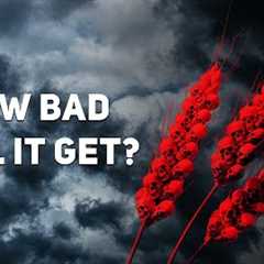 The Global Food Shortage the UN warns about is coming in 2023