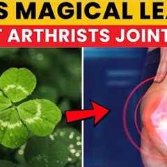 magical leaves That Fights Arthritis & Joint Pain Naturally