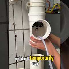 No Shutoff Needed: Repair Pipes While Water’s Still Running! #plumber #plumbing