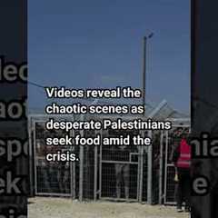 US Contractors Fire Live Ammo Amid Food Crisis in Gaza #shortsfeed #breakingnews #news