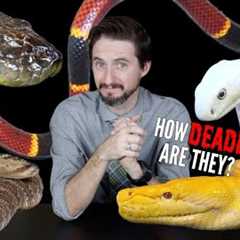 5 Deadly Pet Snakes (+10 Non-Deadly Alternatives)