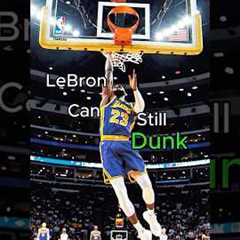 LeBron can still dunk 🗣️🔥 #number23 #jellyhouse #lebron #remix #newsong