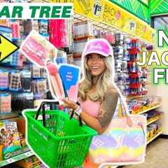 DOLLAR TREE BACK TO SCHOOL SUPPLIES SHOPPING SPREE 2025!  college edition