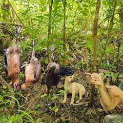 wild chicken footprints, building shelter for wild pigs in the rainy season, survival skills alone